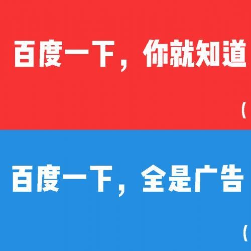 发布猫云媒体_专业的B2B发布信息网站_代县新闻