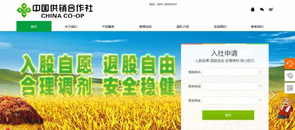 网站设计公司哪家好_SEO建议