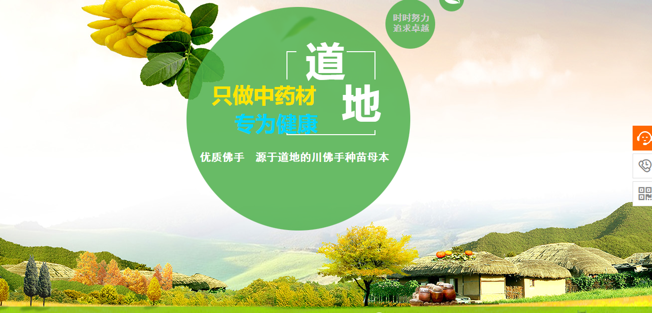 网站市场研究