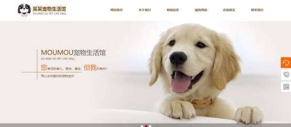 百度统计数据报告
