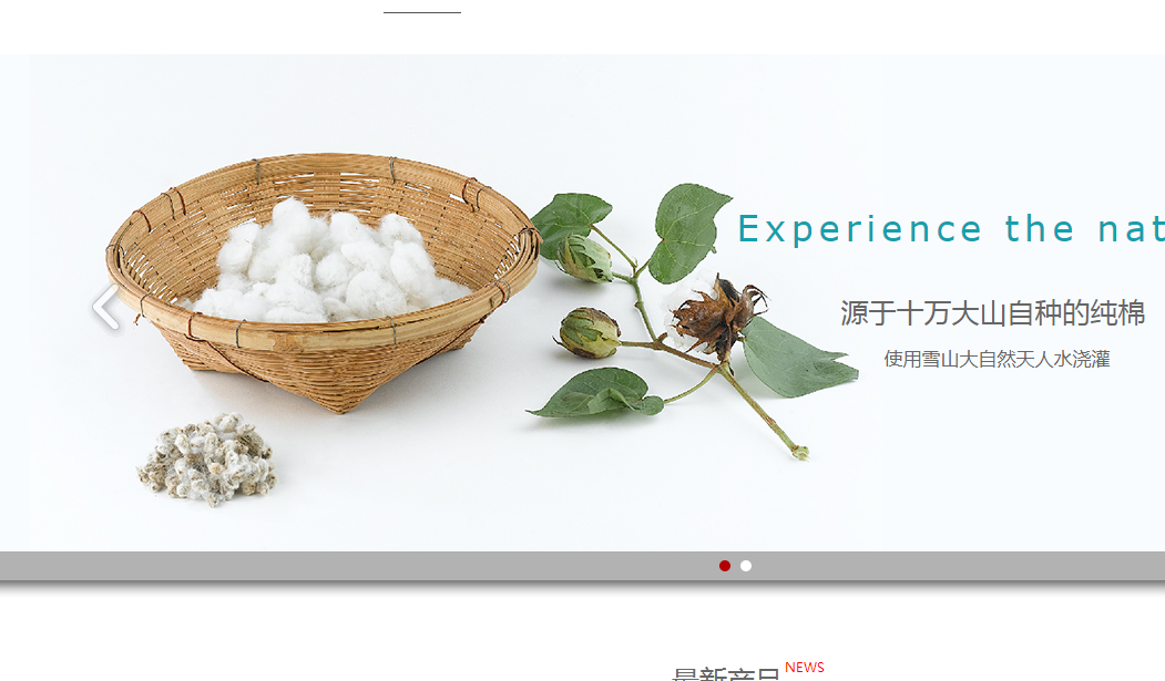 网站界面设计