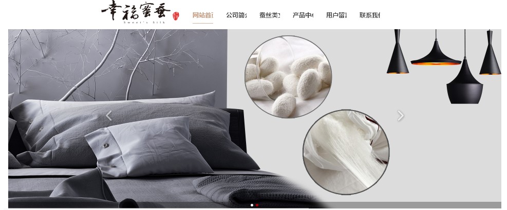 做高端网站公司_海洋网络成功与丝绸纺织科技有限公司那 有限公司 达到了网站建设