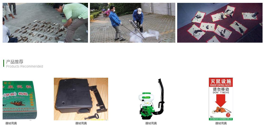 重庆陆昌有害生物管制有限公司那 有限公司 海洋网络达到了网站建设