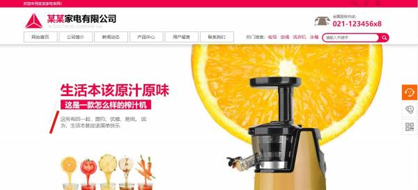 专业的网站开发_新闻动态登录验证安全缺陷
