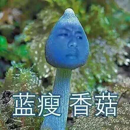 定制网站建设_蓝瘦香菇突然火了 大家都是如何利用这个词做营销的