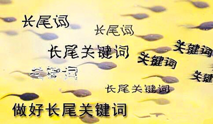 什么因素影响长尾关键字排名？